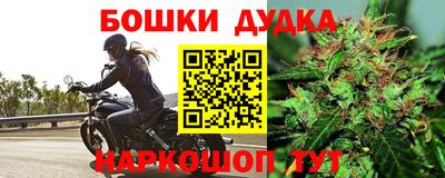 СК Рыбинск