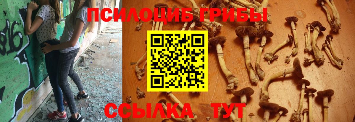 Галлюциногенные грибы ЛСД Сафоново