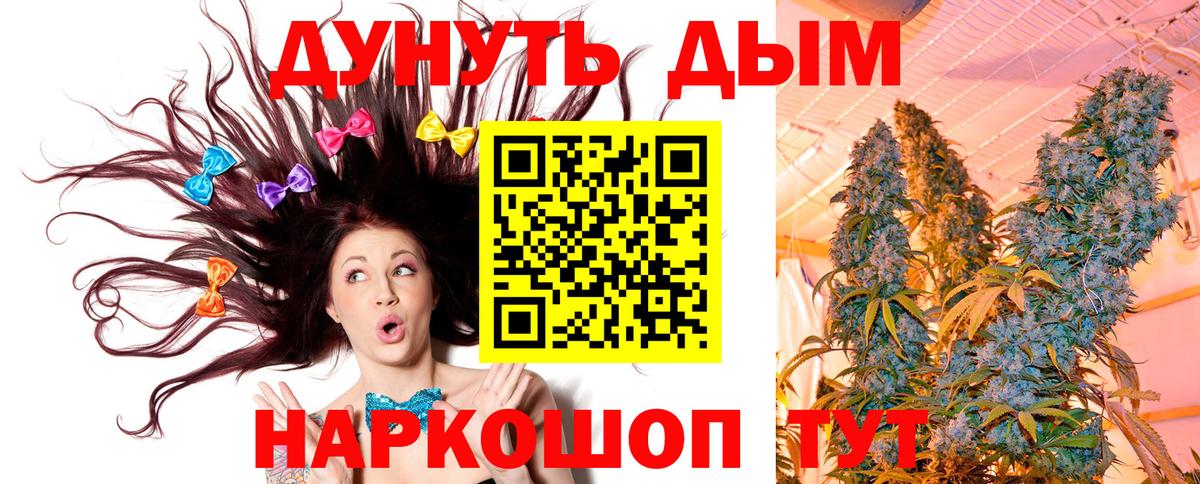 Шишки марихуана план  Канабис план  Сафоново  МАРИХУАНА тримм  Вход с VPN 